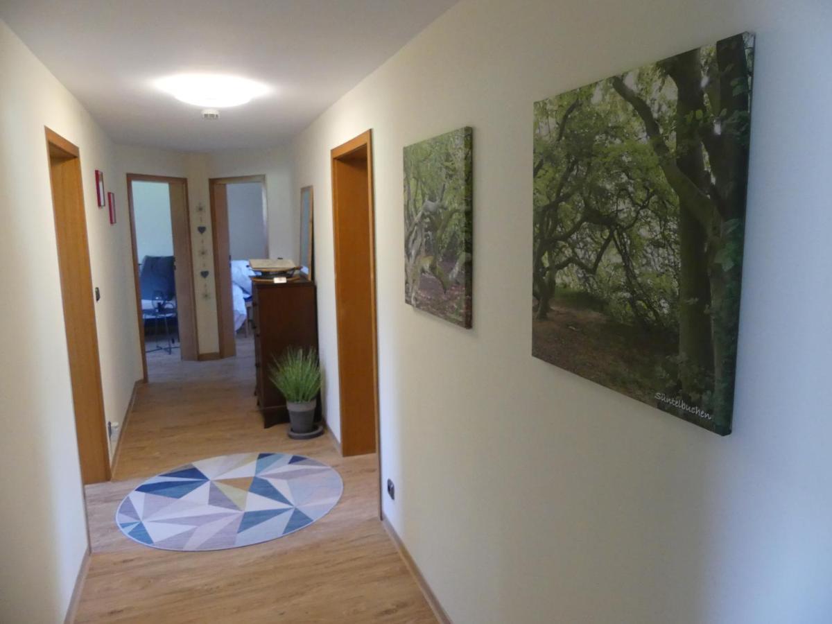 Ferienwohnung Suenteltraum Hamelin Zewnętrze zdjęcie